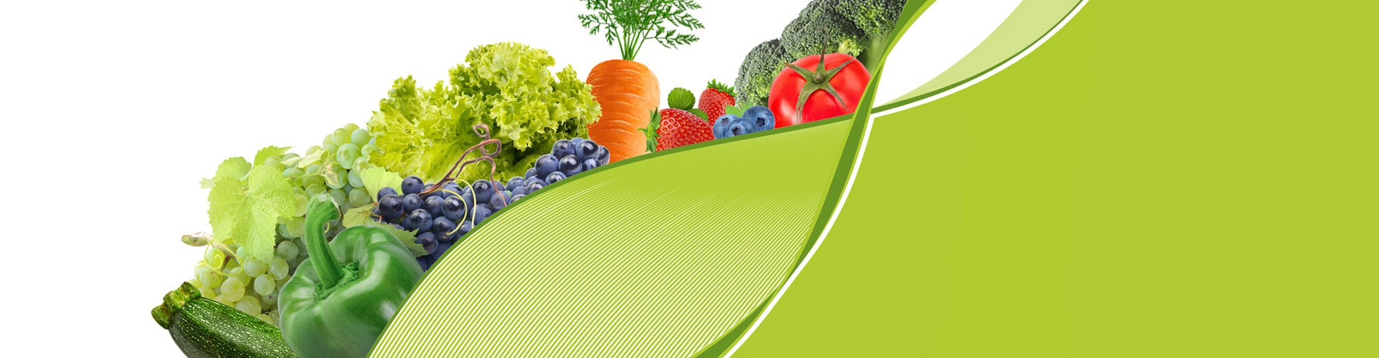 GreenImpulse_background-header-back6