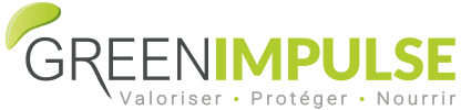 Logo Green Impulse 2024