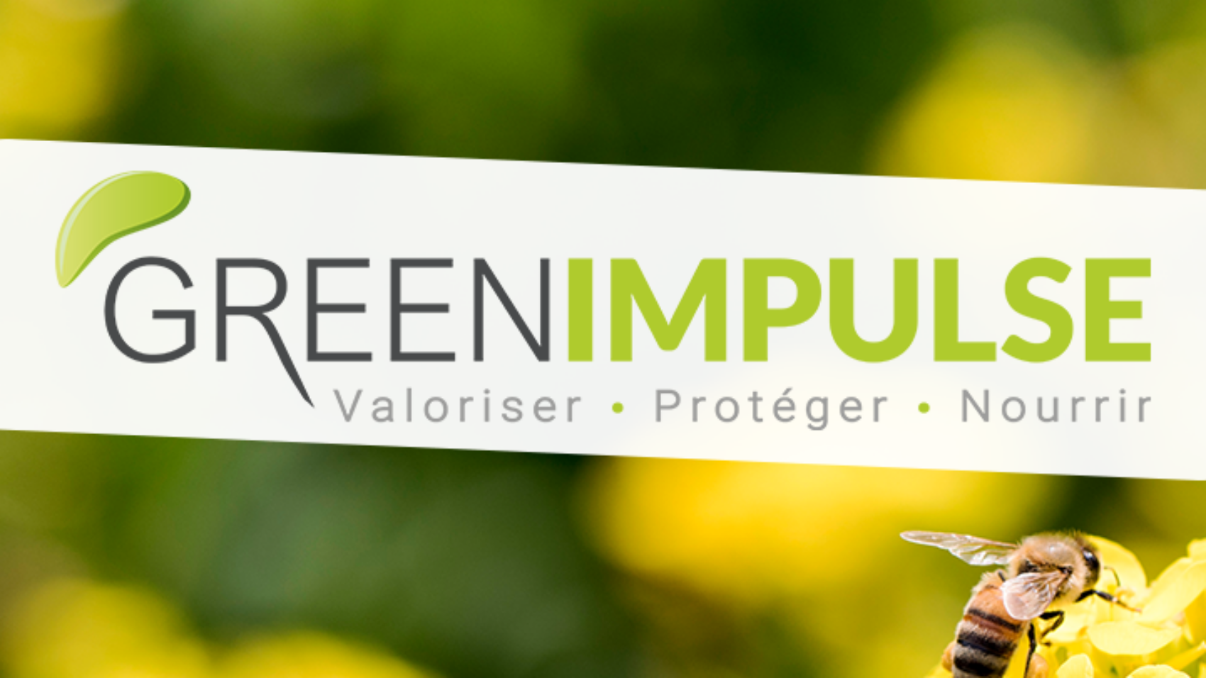 Logo green Impulse nouvelle signature