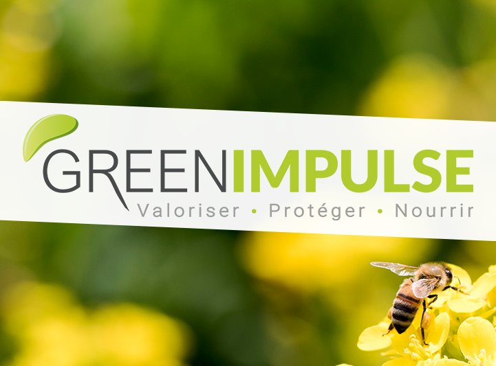 Logo green Impulse nouvelle signature