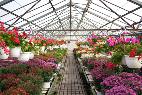 GI_Home-Horti.jpg