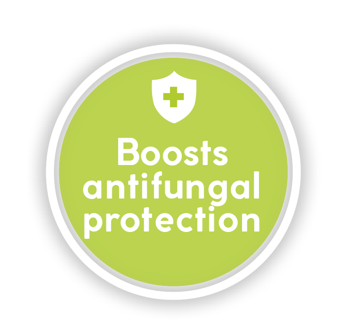 Boosts antifungal protection