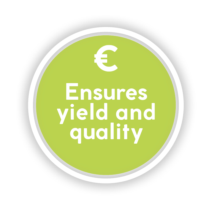 Ensure yield and quality