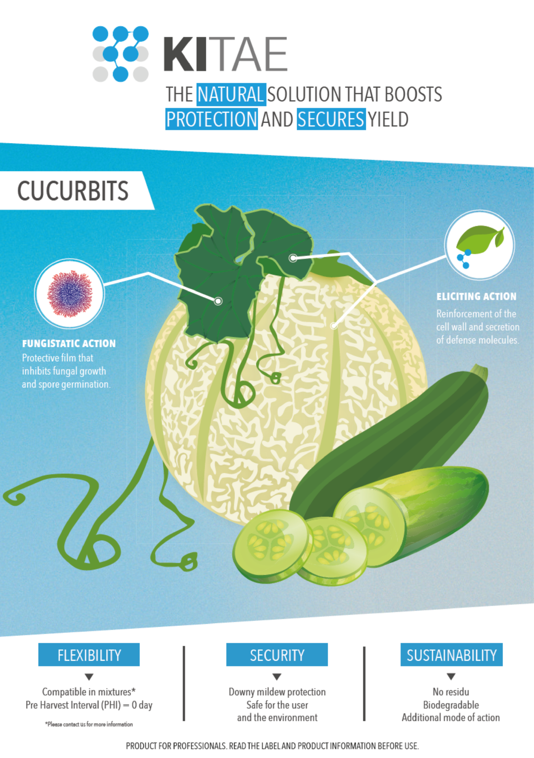 brochure Kitae cucurbits