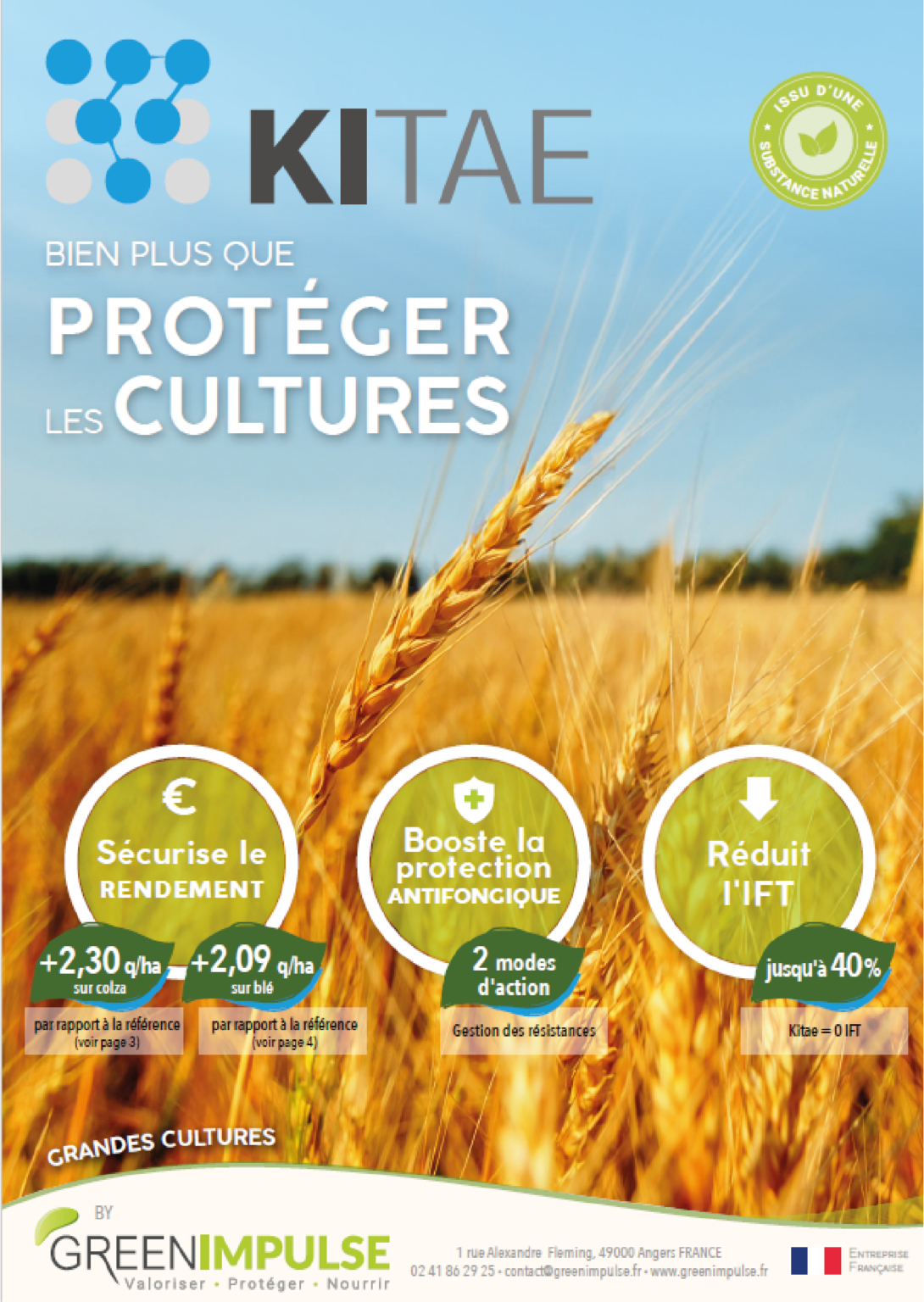 Kitae grandes cultures