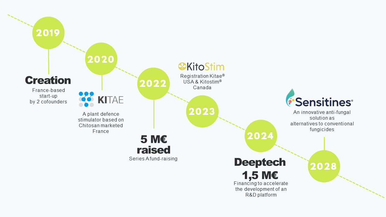 Timeline Green Impulse